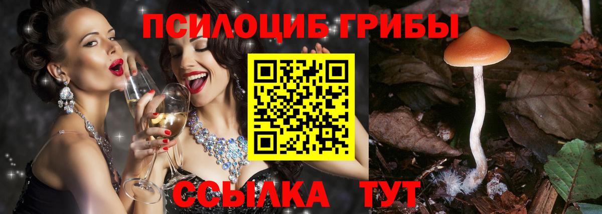 Галлюциногенные грибы Psilocybe  Псилоцибиновые грибы Cubensis  Десногорск  Вход с VPN 